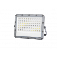 Naświetlacz LED 100W NW Z P. SOLARNYM PREMIUM LINE EC20094