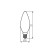29621 (2).jpg