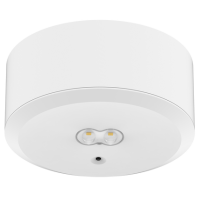 THORGEON Awaryjna sygnalizacyjna LED 3H 3W 5000K 240lm IP20