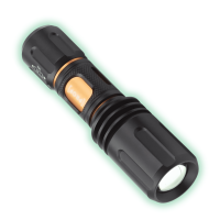 Latarka PROF FOCUS 100