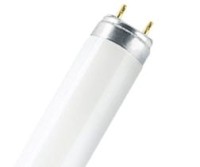 PATRON Świetlówka liniowa trabycyjna FLUORESCENT TUBE T8 36W/840 120cm 05906